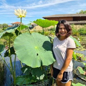 Lotus Nelumbo 'Space' - Lotus comestible