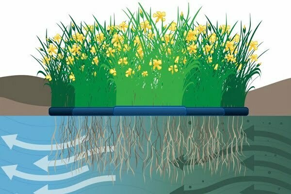 Impianto di fitodepurazione flottante