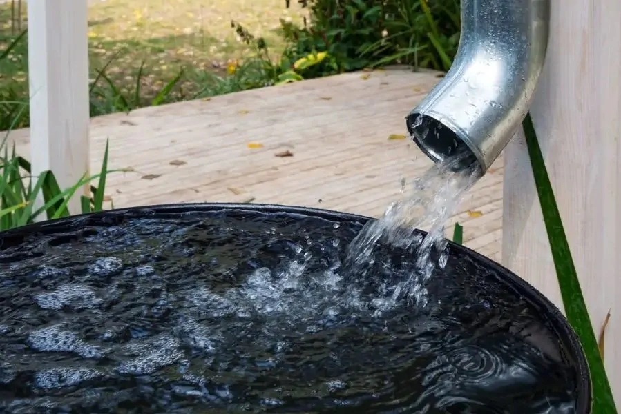water to fill the pond