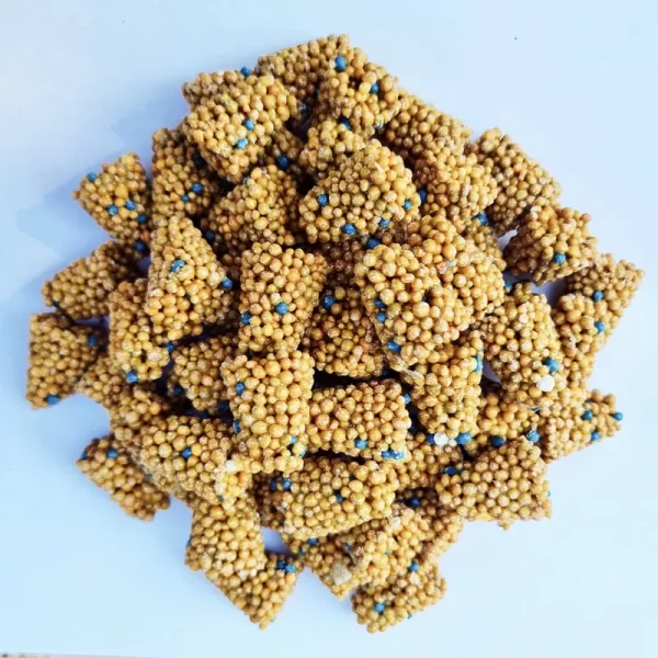 Engrais Osmocote 60 pastilles plantes aquatiques
