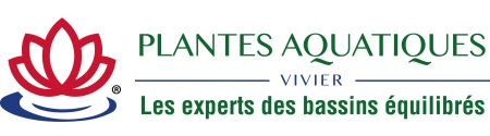 Plantes Aquatiques