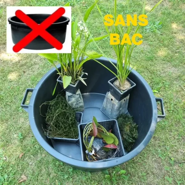 set-bassin-bonsai-65-sans-bac